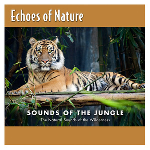 影音先锋在线观看资源
